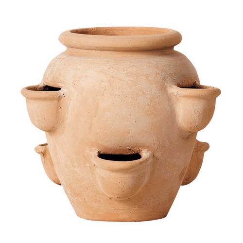 TERRACINI – CLASSIC HERB POT PLANTER