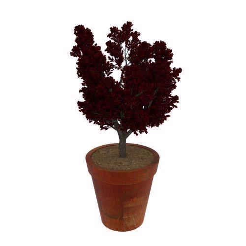 CORTEN STEEL – OREN FLOWER POT PLANTER