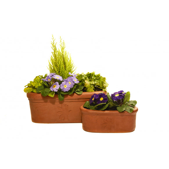 THRIVE ANNIVERSARY TROUGH PLANTER SET