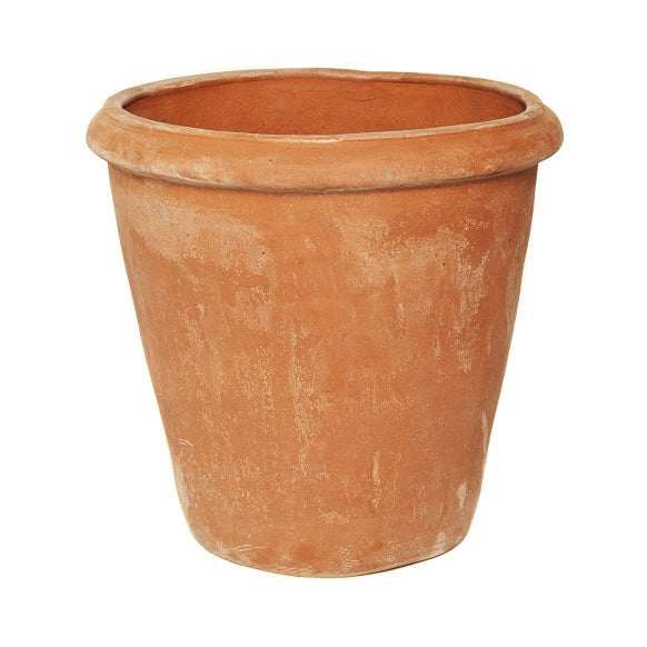 Terracini Camelia Pot