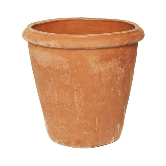 Terracini Camelia Pot